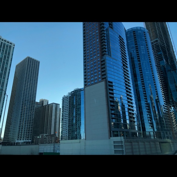 Meet your Posher, TheChairmanMeow 🐈 - Picture 7 of 14